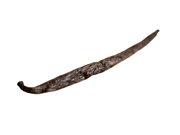 Madagascar Vanilla